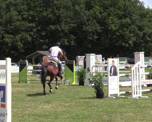 Reitturnier Wohlesbostel 2022