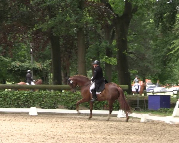 Reitturnier Barlo-Bocholt 2022