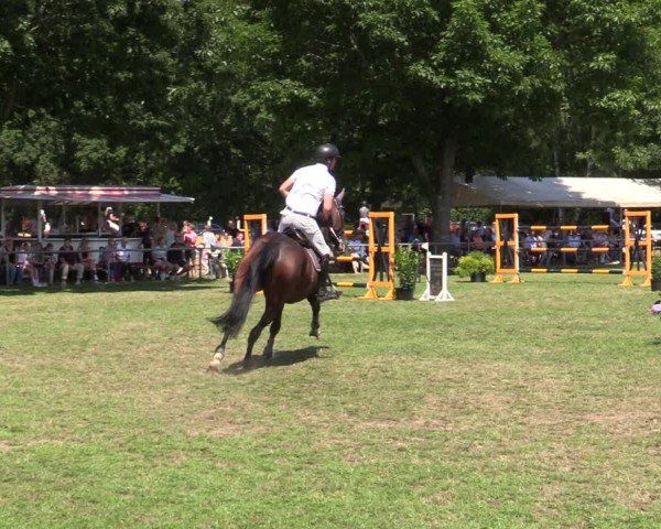 Reitturnier Wohlesbostel 2022