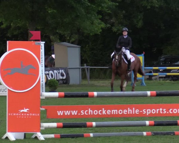 Reitturnier Wohlesbostel 2022