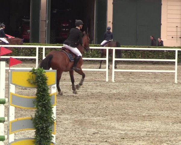 Reitturnier Neustadt/Dosse 2022