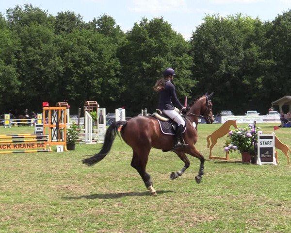 Reitturnier Wohlesbostel 2022