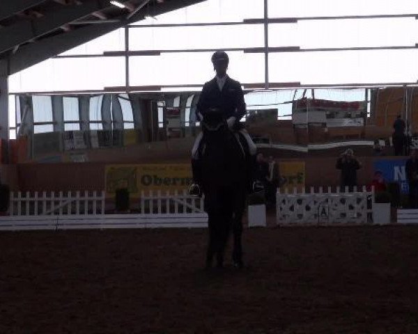 dressage horse Ruwina 3 (Swiss Warmblood, 2006, from Rubin Cortes OLD)