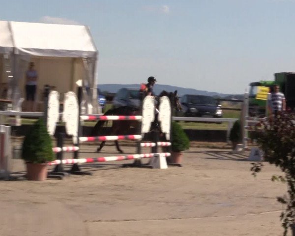 Reitturnier Melle-Ostenfelde 2022