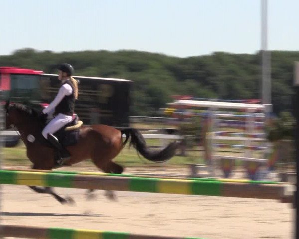 Reitturnier Melle-Ostenfelde 2022