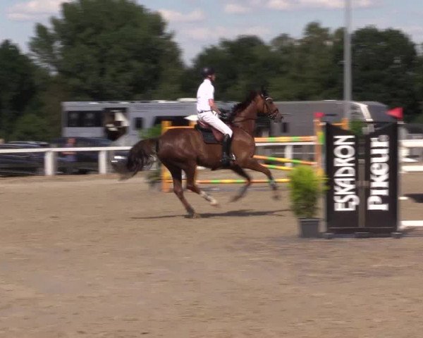 Reitturnier Melle-Ostenfelde 2022
