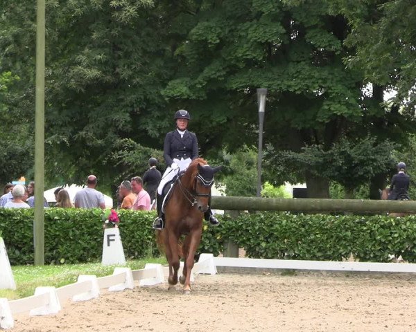 Reitturnier Barlo-Bocholt 2022