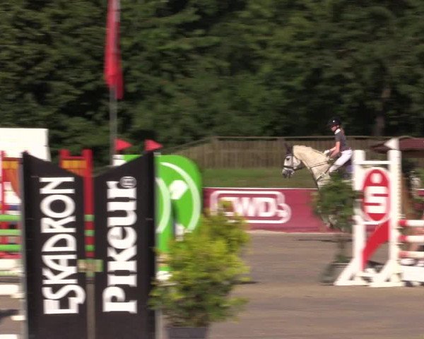 Reitturnier Melle-Ostenfelde 2022