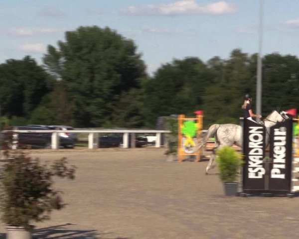 Reitturnier Melle-Ostenfelde 2022