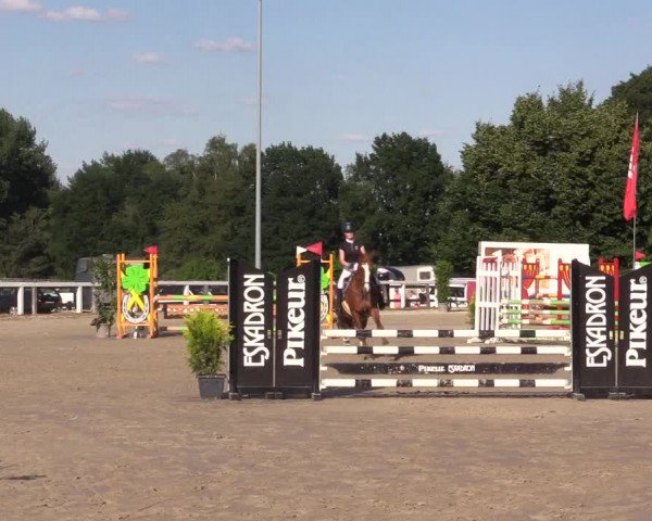 Reitturnier Melle-Ostenfelde 2022