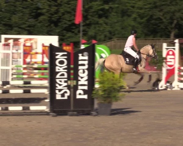 Reitturnier Melle-Ostenfelde 2022