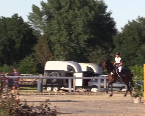 Reitturnier Melle-Ostenfelde 2022