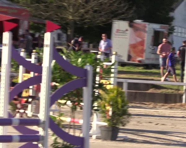 Reitturnier Melle-Ostenfelde 2022