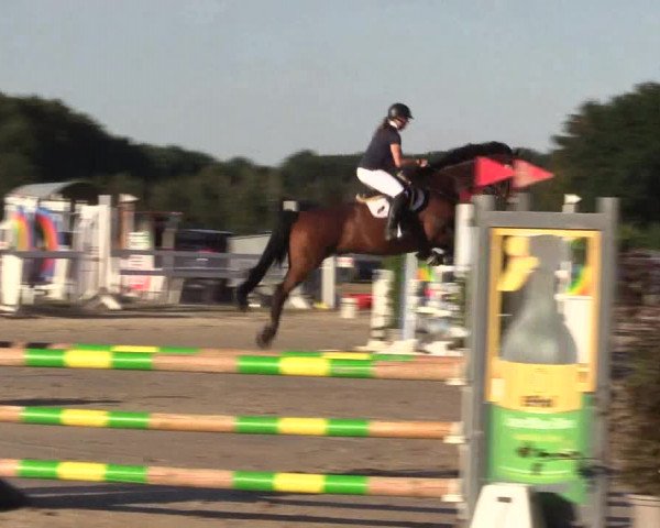 Reitturnier Melle-Ostenfelde 2022