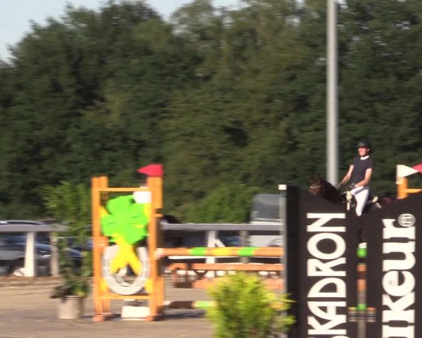Reitturnier Melle-Ostenfelde 2022