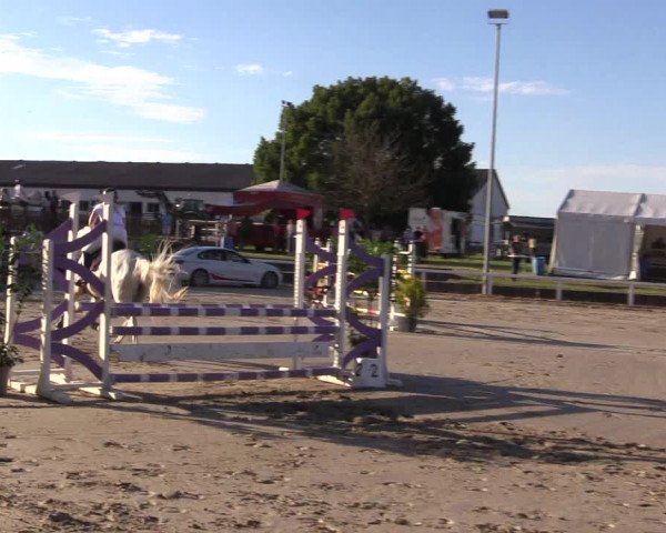 Reitturnier Melle-Ostenfelde 2022