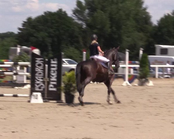 Reitturnier Melle-Ostenfelde 2022