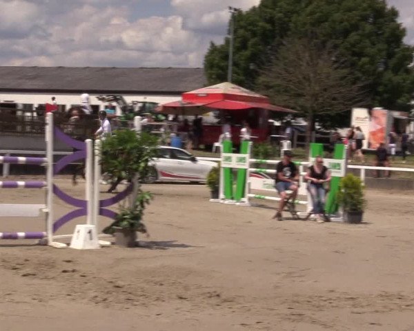 Reitturnier Melle-Ostenfelde 2022
