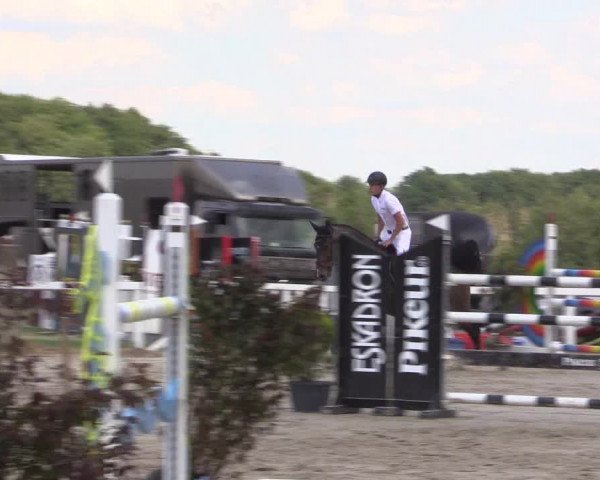 Reitturnier Melle-Ostenfelde 2022