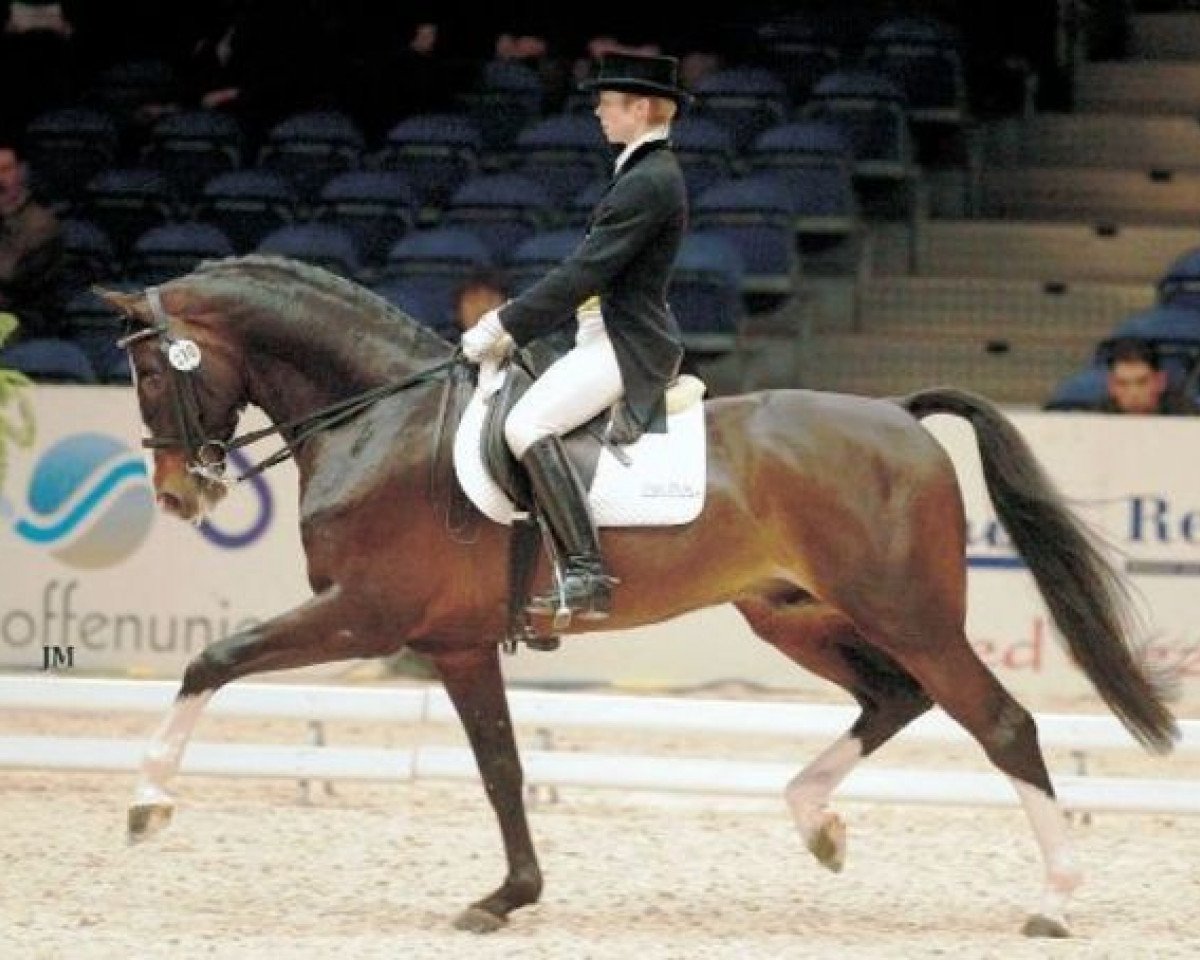 Deckhengst Farmer (KWPN (Niederländisches Warmblut), 1987, von Voltaire)