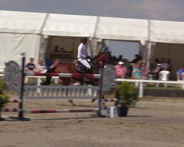 Reitturnier Melle-Ostenfelde 2022