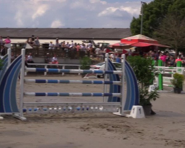 Reitturnier Melle-Ostenfelde 2022