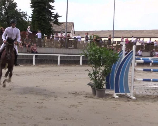 Reitturnier Melle-Ostenfelde 2022