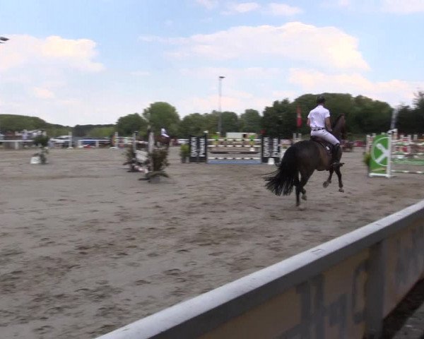 Reitturnier Melle-Ostenfelde 2022
