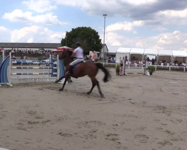 Reitturnier Melle-Ostenfelde 2022