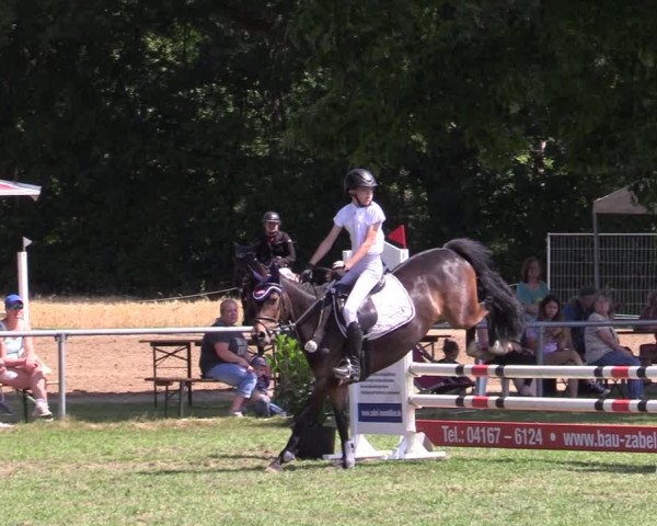 Reitturnier Wohlesbostel 2022