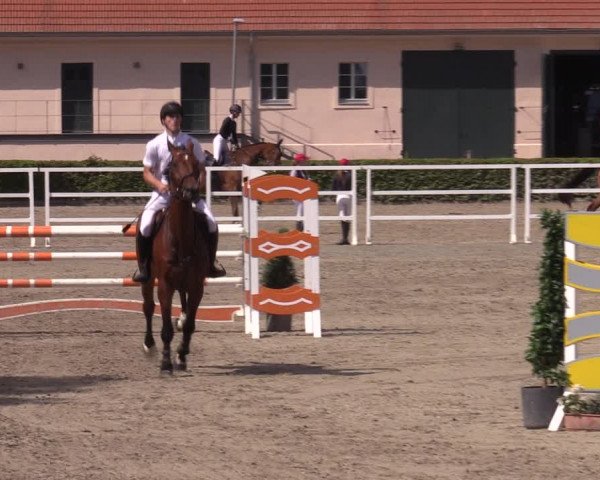 Reitturnier Neustadt/Dosse 2022