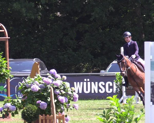 Reitturnier Wohlesbostel 2022
