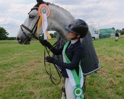 jumper Caribis S (Oldenburg show jumper, 2013, from Caroly)