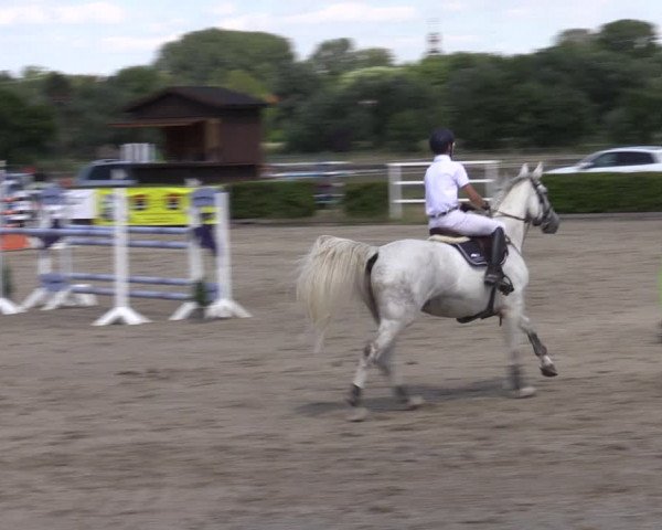 Reitturnier Neustadt/Dosse 2022