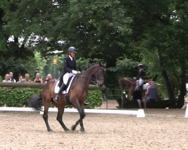 Reitturnier Barlo-Bocholt 2022