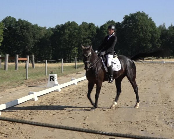 Reitturnier Wohlesbostel 2022