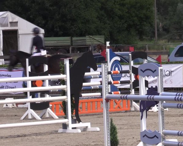 Reitturnier Neustadt/Dosse 2022