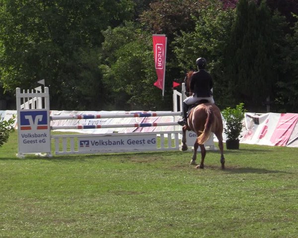Reitturnier Wohlesbostel 2022