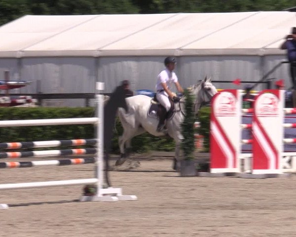 Reitturnier Neustadt/Dosse 2022