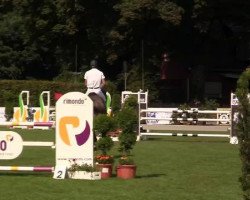 jumper Quieri (Westphalian, 2007, from Quite Capitol)
