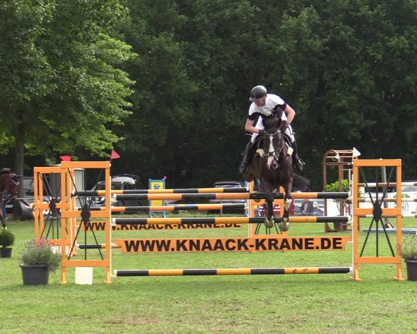 Reitturnier Wohlesbostel 2022