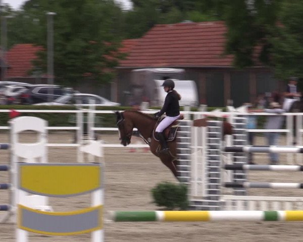 Reitturnier Neustadt/Dosse 2022