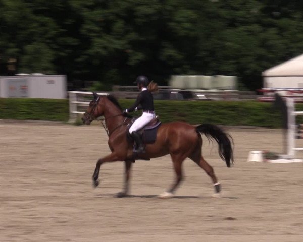 Reitturnier Neustadt/Dosse 2022