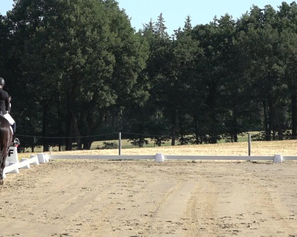 Reitturnier Wohlesbostel 2022