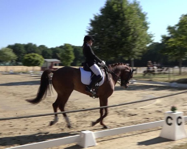 Reitturnier Wohlesbostel 2022