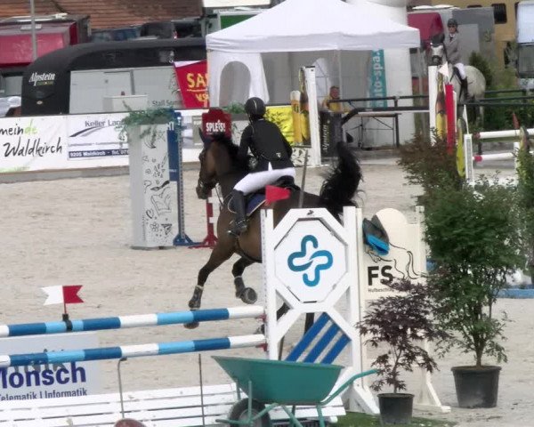 Reitturnier Gossau 2022