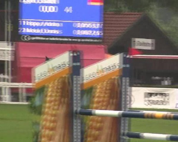 jumper Fabiano 37 (Westphalian, 1996, from Funke)