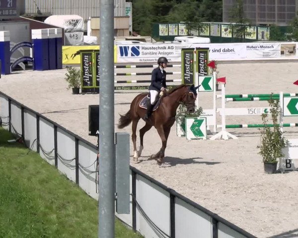 Reitturnier Gossau 2022