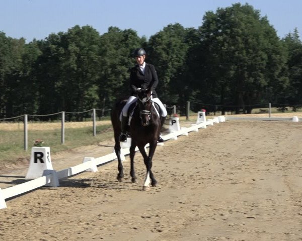 Reitturnier Wohlesbostel 2022