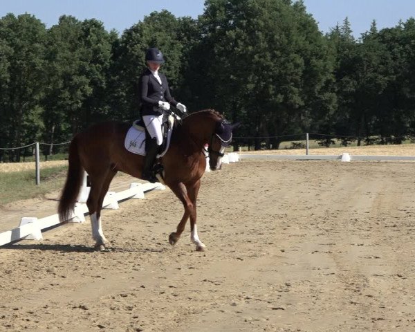 Reitturnier Wohlesbostel 2022